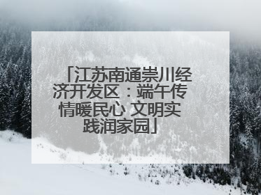 江苏南通崇川经济开发区：端午传情暖民心 文明实践润家园