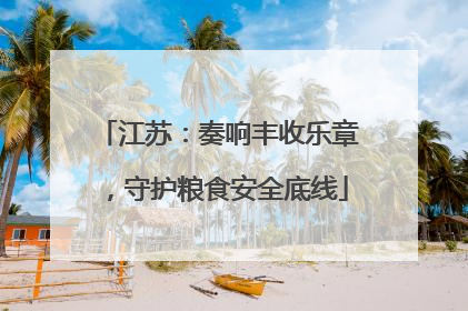江苏：奏响丰收乐章，守护粮食安全底线