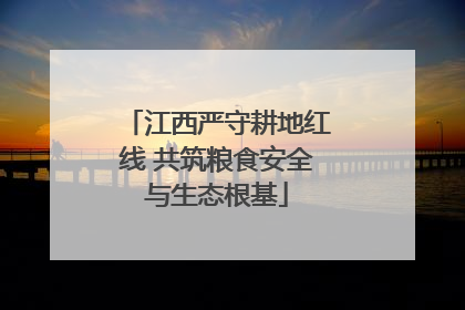 江西严守耕地红线 共筑粮食安全与生态根基