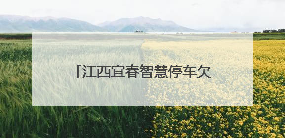 江西宜春智慧停车欠费清缴享7折优惠，公司：活动属实，已建立常态化诉讼追缴机制