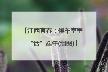江西宜春：候车室里“话”端午(组图)
