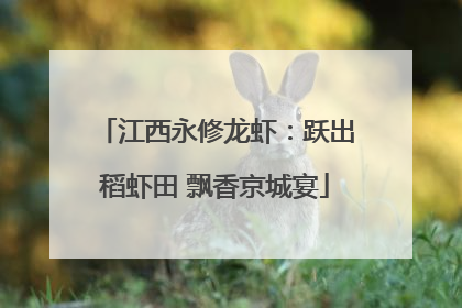 江西永修龙虾：跃出稻虾田 飘香京城宴