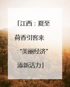 江西：夏至荷香引客来 “美丽经济”添新活力