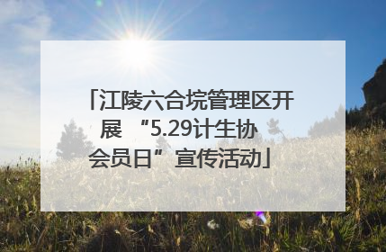江陵六合垸管理区开展 “5.29计生协会员日”宣传活动