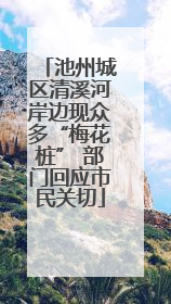 池州城区清溪河岸边现众多“梅花桩” 部门回应市民关切