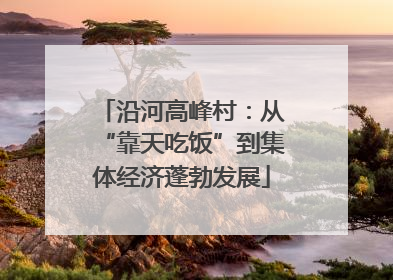 沿河高峰村：从“靠天吃饭”到集体经济蓬勃发展