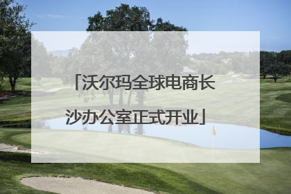 沃尔玛全球电商长沙办公室正式开业