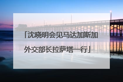 沈晓明会见马达加斯加外交部长拉萨塔一行