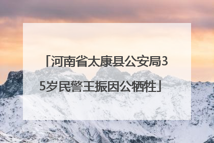 河南省太康县公安局35岁民警王振因公牺牲