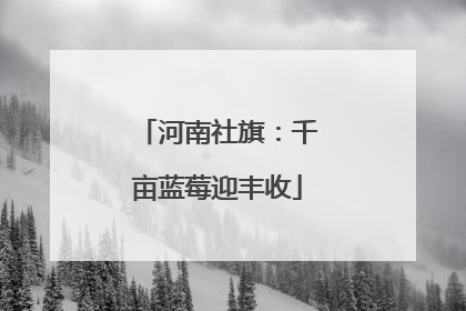 河南社旗：千亩蓝莓迎丰收