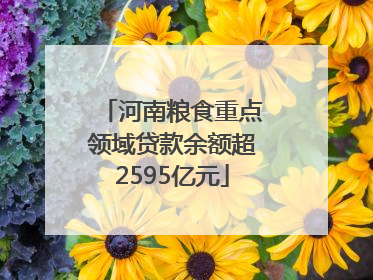 河南粮食重点领域贷款余额超2595亿元
