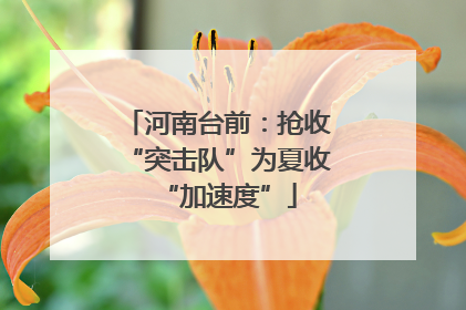河南台前：抢收“突击队”为夏收“加速度”