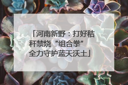 河南新野：打好秸秆禁烧“组合拳” 全力守护蓝天沃土