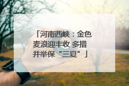 河南西峡：金色麦浪迎丰收 多措并举保“三夏”