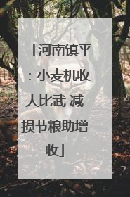 河南镇平：小麦机收大比武 减损节粮助增收