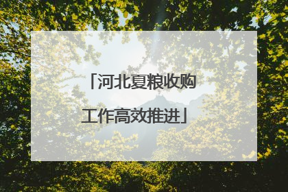 河北夏粮收购工作高效推进