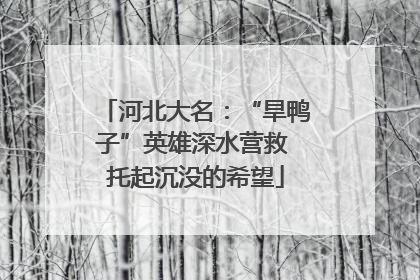 河北大名：“旱鸭子”英雄深水营救 托起沉没的希望
