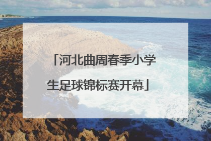 河北曲周春季小学生足球锦标赛开幕