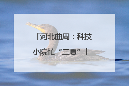 河北曲周：科技小院忙“三夏”