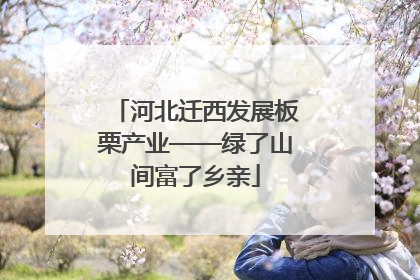 河北迁西发展板栗产业——绿了山间富了乡亲