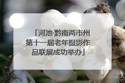 河池·黔南两市州第十一届老年摄影作品联展成功举办