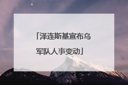 泽连斯基宣布乌军队人事变动