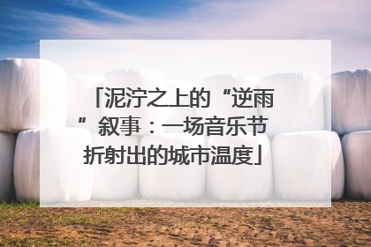 泥泞之上的“逆雨”叙事：一场音乐节折射出的城市温度