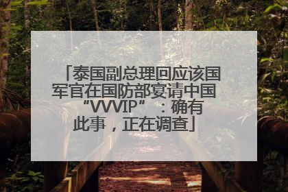 泰国副总理回应该国军官在国防部宴请中国“VVVIP”：确有此事，正在调查