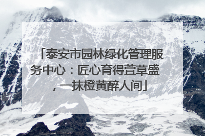 泰安市园林绿化管理服务中心：匠心育得萱草盛，一抹橙黄醉人间