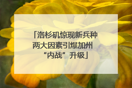 洛杉矶惊现新兵种 两大因素引爆加州“内战”升级