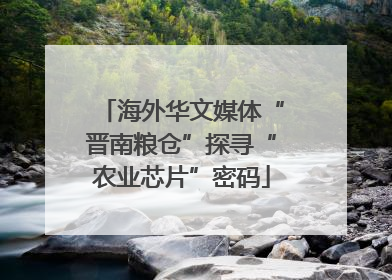 海外华文媒体“晋南粮仓”探寻“农业芯片”密码
