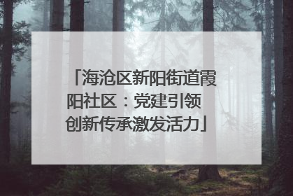 海沧区新阳街道霞阳社区：党建引领 创新传承激发活力
