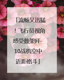流畅又迅猛！飞行员视角感受数架歼-10战机空中近距格斗