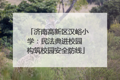 济南高新区汉峪小学：民法典进校园 构筑校园安全防线