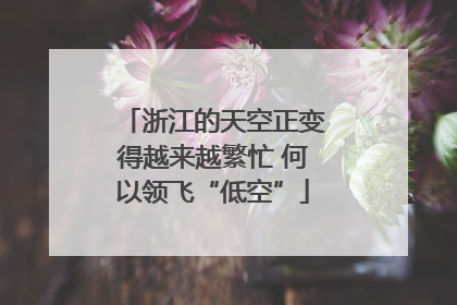 浙江的天空正变得越来越繁忙 何以领飞“低空”