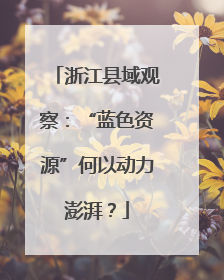 浙江县域观察：“蓝色资源”何以动力澎湃？