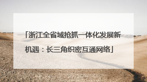 浙江全省域抢抓一体化发展新机遇：长三角织密互通网络