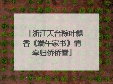 浙江天台粽叶飘香《端午家书》情牵归侨侨眷