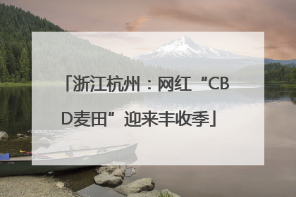 浙江杭州：网红“CBD麦田”迎来丰收季