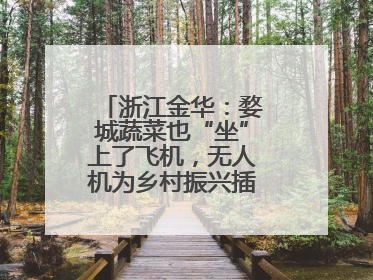 浙江金华：婺城蔬菜也“坐”上了飞机，无人机为乡村振兴插上“翅膀”