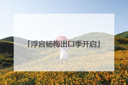 浮宫杨梅出口季开启