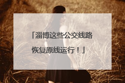 淄博这些公交线路恢复原线运行！