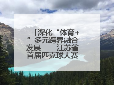 深化“体育+”多元跨界融合发展——江苏省首届匹克球大赛在无锡开赛