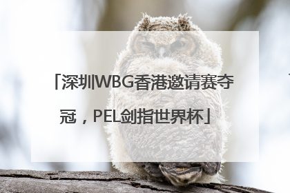 深圳WBG香港邀请赛夺冠，PEL剑指世界杯