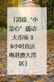 清徐“小菜心”撬动大市场 36小时直达粤港澳大湾区
