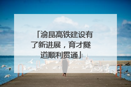 渝昆高铁建设有了新进展，育才隧道顺利贯通