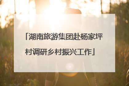 湖南旅游集团赴杨家坪村调研乡村振兴工作