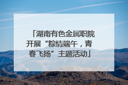 湖南有色金属职院开展“粽情端午，青春飞扬”主题活动
