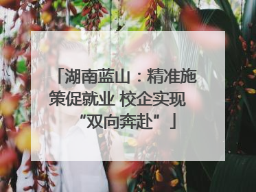 湖南蓝山：精准施策促就业 校企实现“双向奔赴”