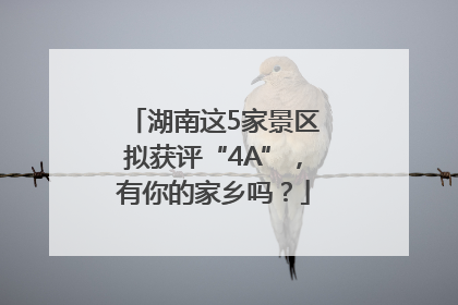湖南这5家景区拟获评“4A”，有你的家乡吗？